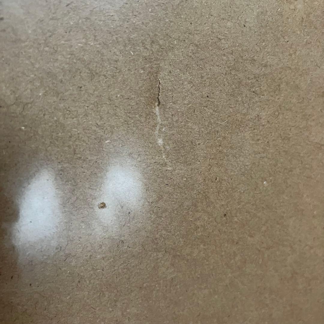 BALMUDA The Toaster (Pro) ホワイト/ゴールド