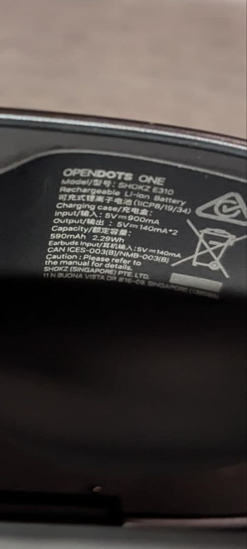 SHOKZ(ショックス) OpenDots ONE E310 ワイヤレスイヤホン