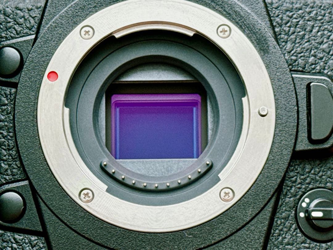 Panasonic LUMIX G9 本体 DC-G9 追加バッテリー