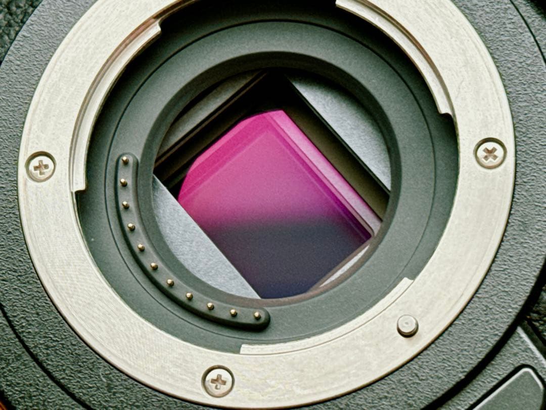 Panasonic LUMIX G9 本体 DC-G9 追加バッテリー