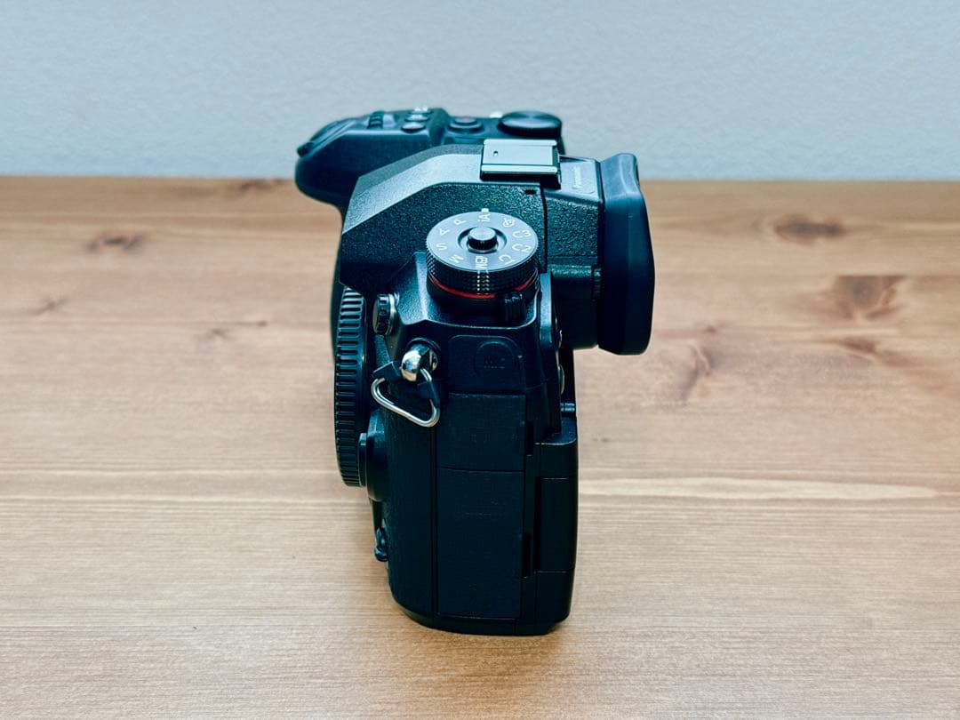 Panasonic LUMIX G9 本体 DC-G9 追加バッテリー