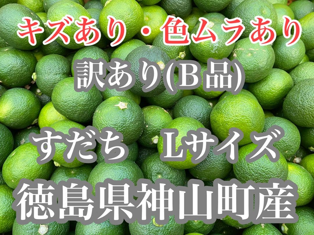 徳島県神山町産すだち《冷蔵貯蔵》　キズ・色ムラあり 5キロ Lサイズ ②