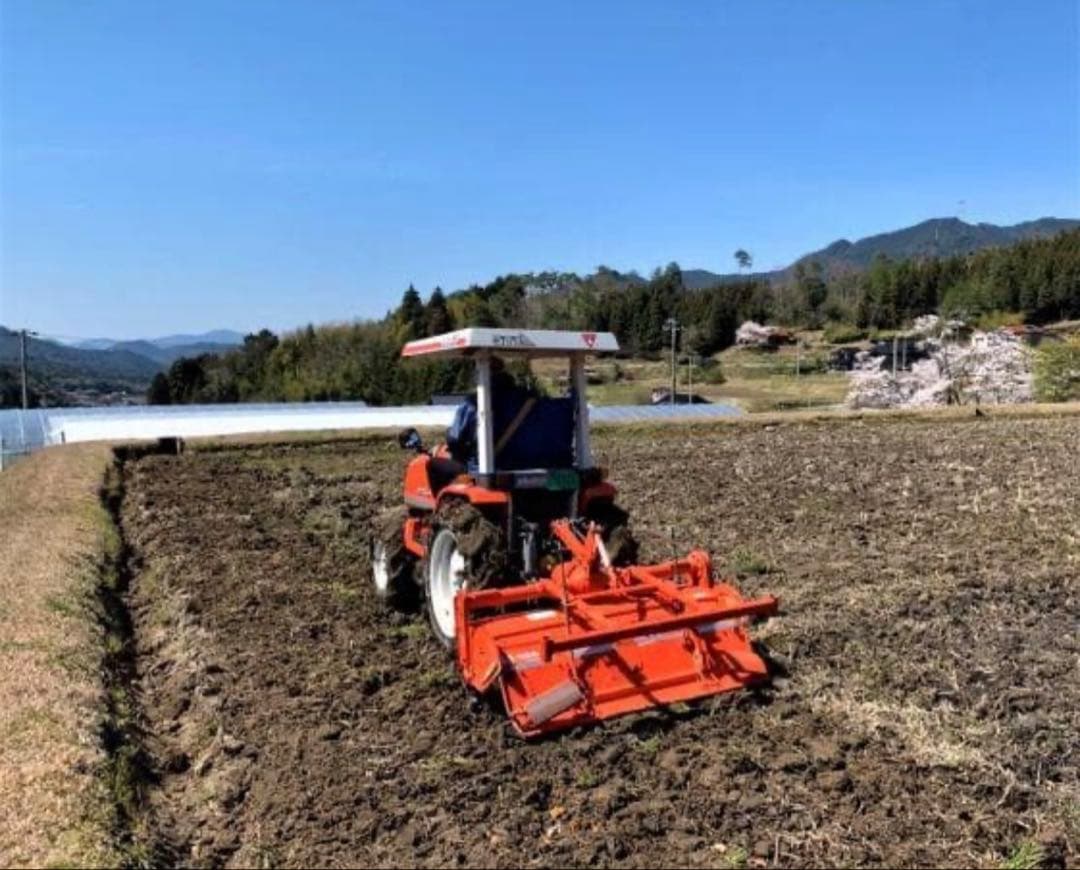 令和7年度産　山口県産（新米）30kg恋の予感　白米/玄米　農家直送　送料無料