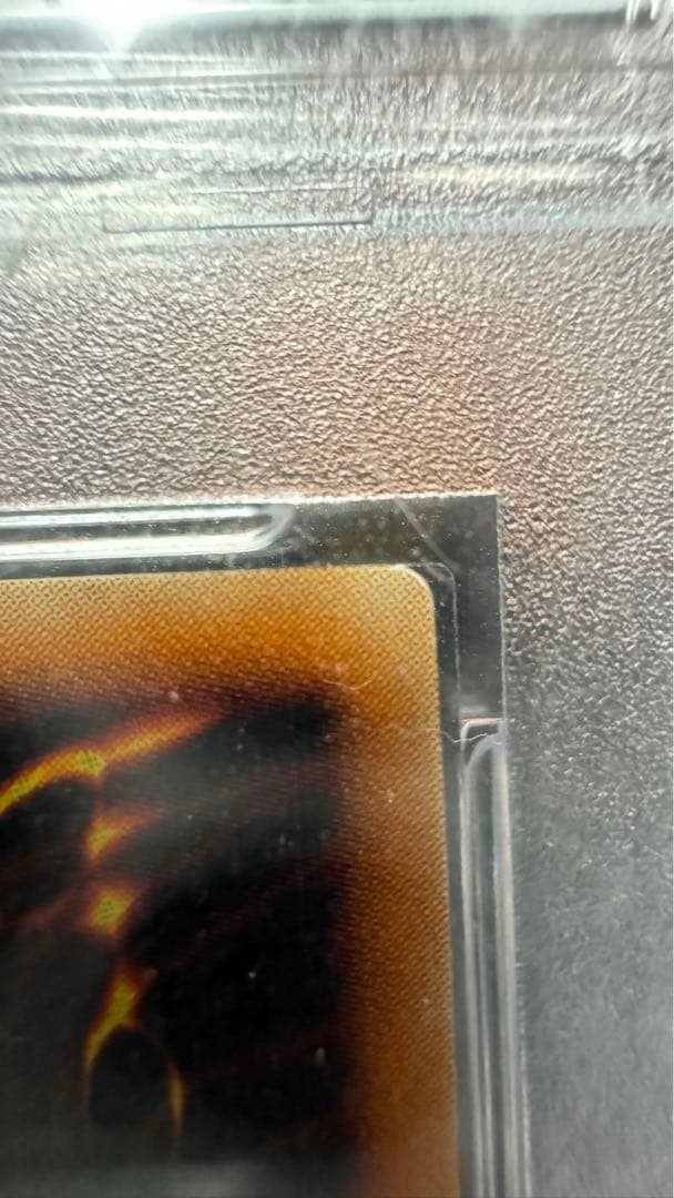 親知らず　真紅眼の黒竜　レリーフ　PSA9