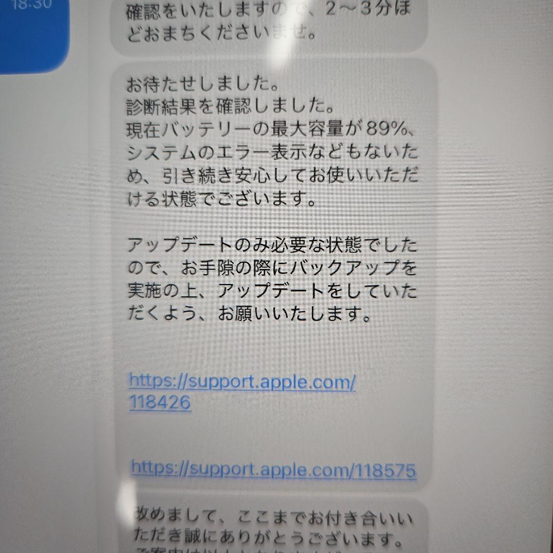 iPad mini (第6世代) , ApplePencil, 純正ケースセット