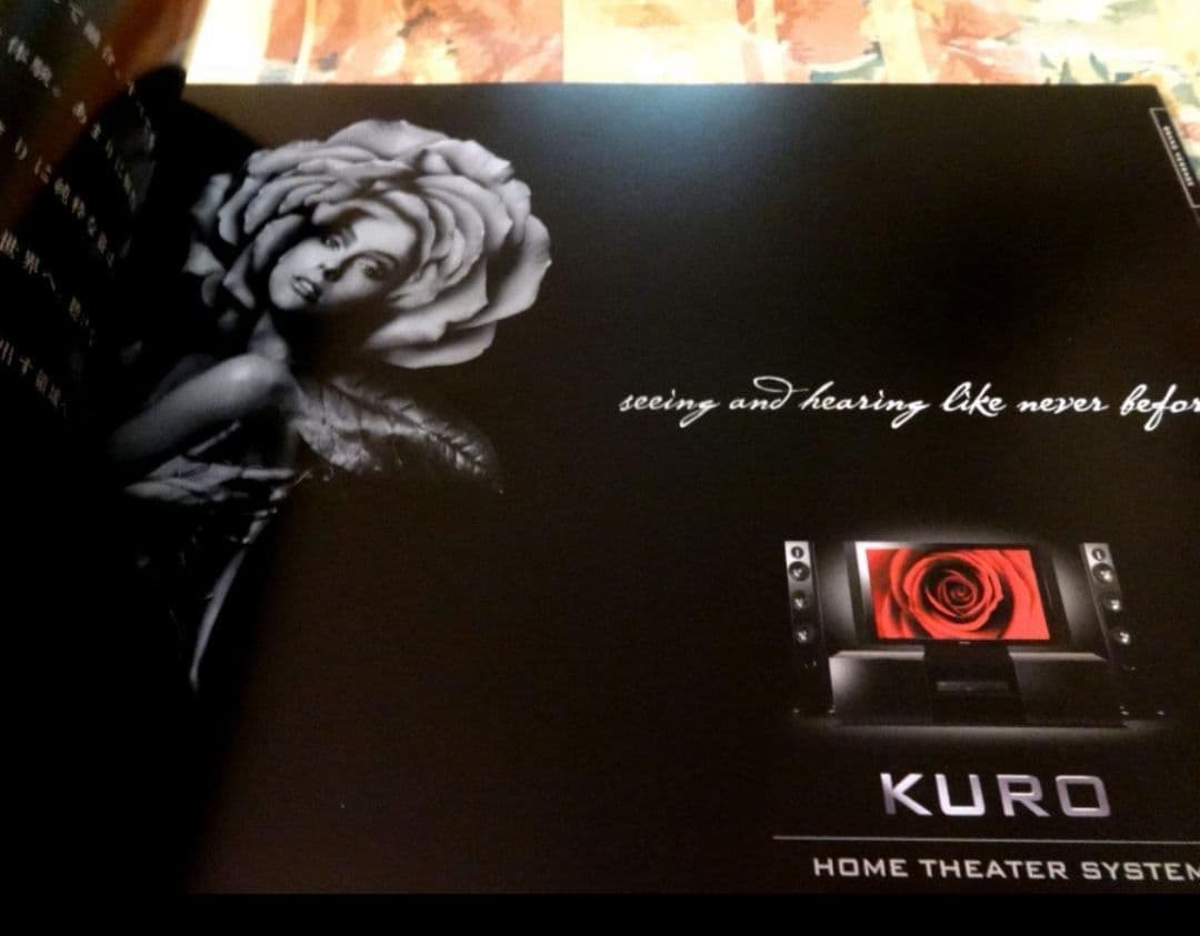 パイオニア　Pioneer KURO BDR-WD900,700 純正リモコン他