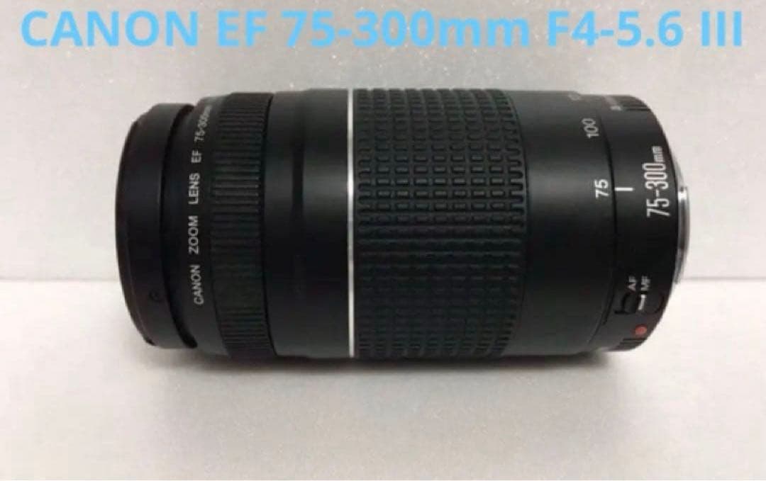 イベント☆キャノン☆大迫力の300㎜☆ Canon EF75-300㎜