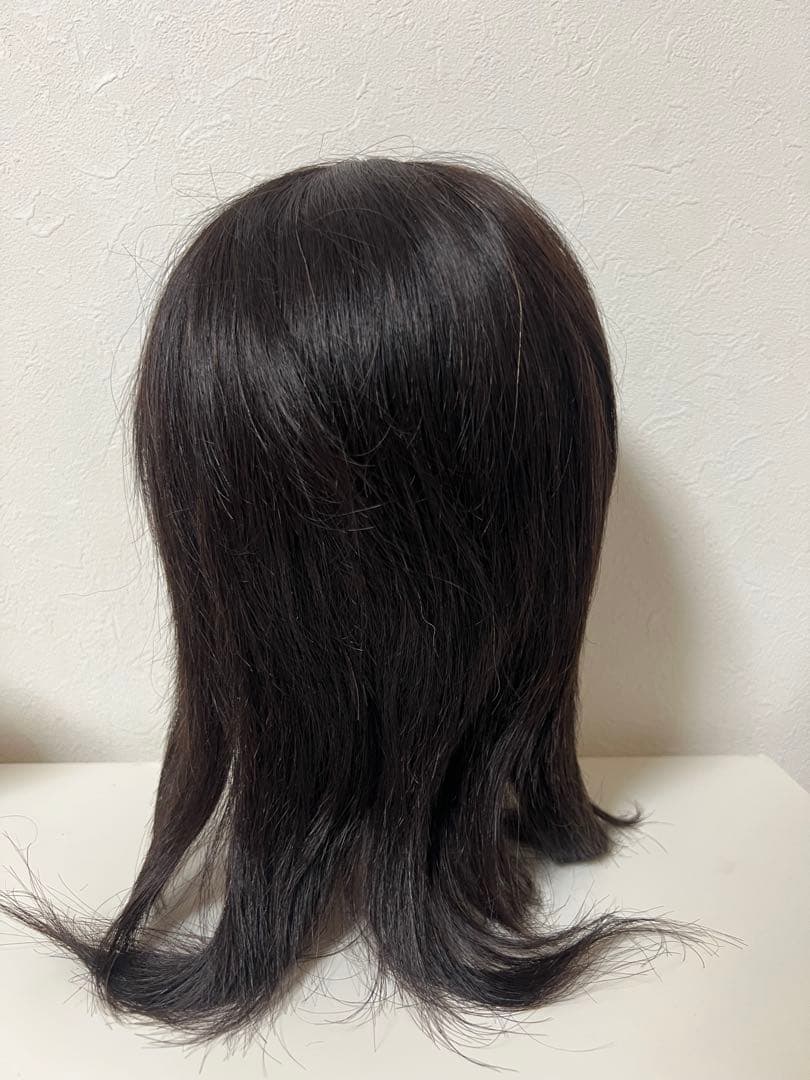 練習用カットウィッグ3体