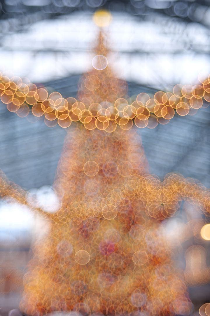 Meyer Trioplan N 100mm f2.8 メイヤー トリオプランN