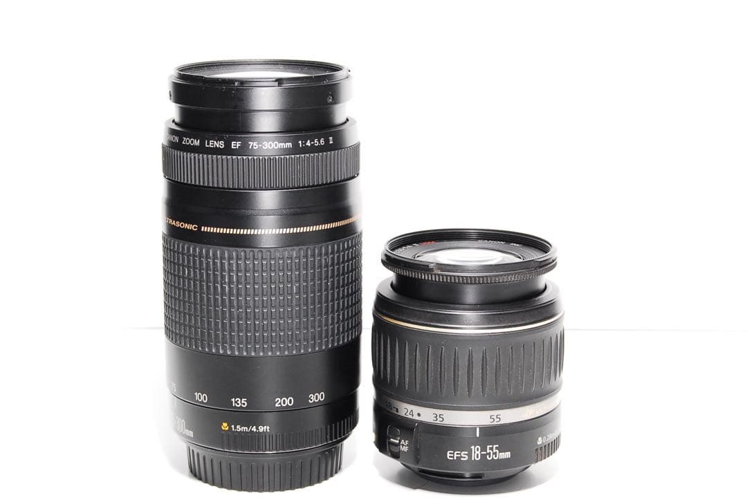 ☘️高性能！☘️Canon Kiss X7 ダブルレンズセット　極美品！