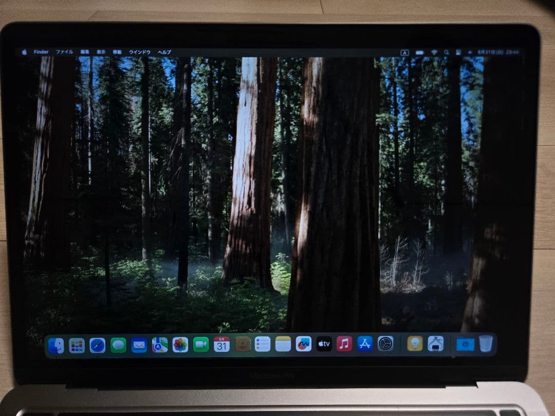 極美品　Apple MacBook Pro 13インチ M1 2020 8GB