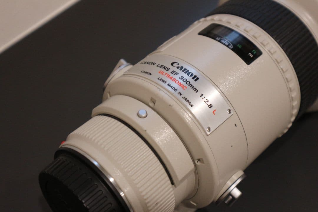 レンズ(単焦点) Canon EF300mm 1:2.8L ULTRASONIC