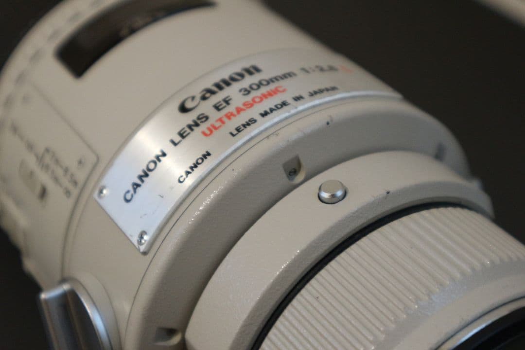 レンズ(単焦点) Canon EF300mm 1:2.8L ULTRASONIC