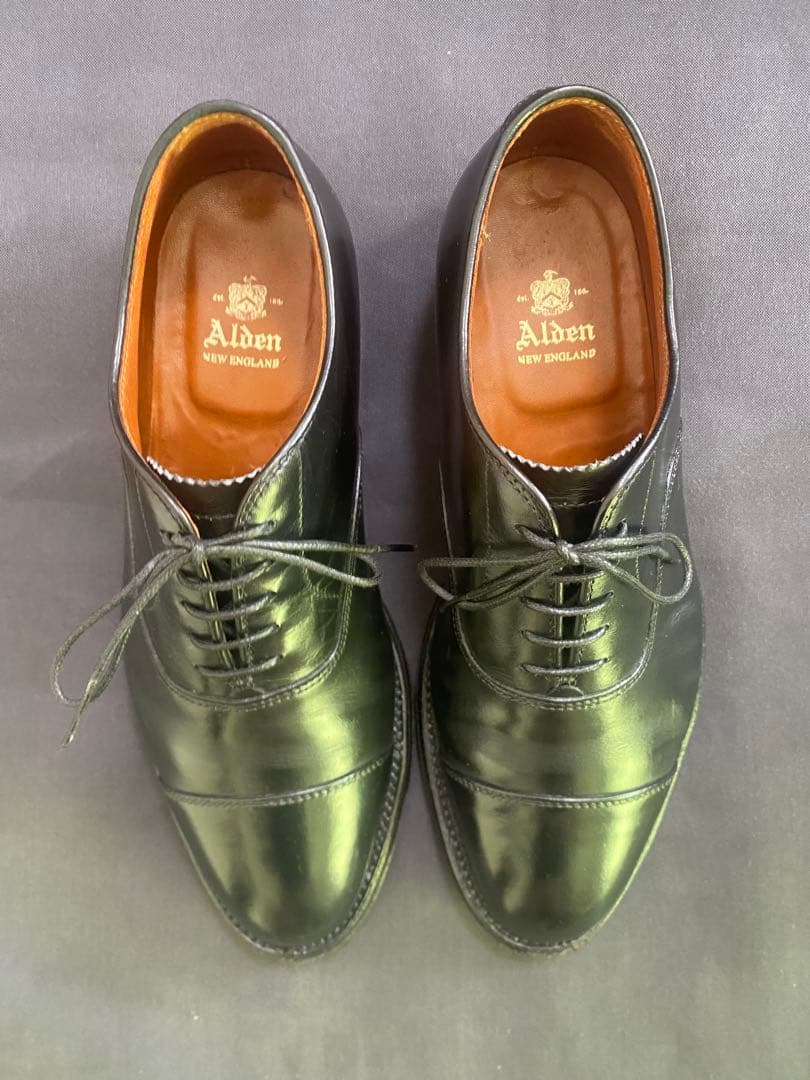 Alden ストレートチップ　キャップトゥ907 8D 26cm