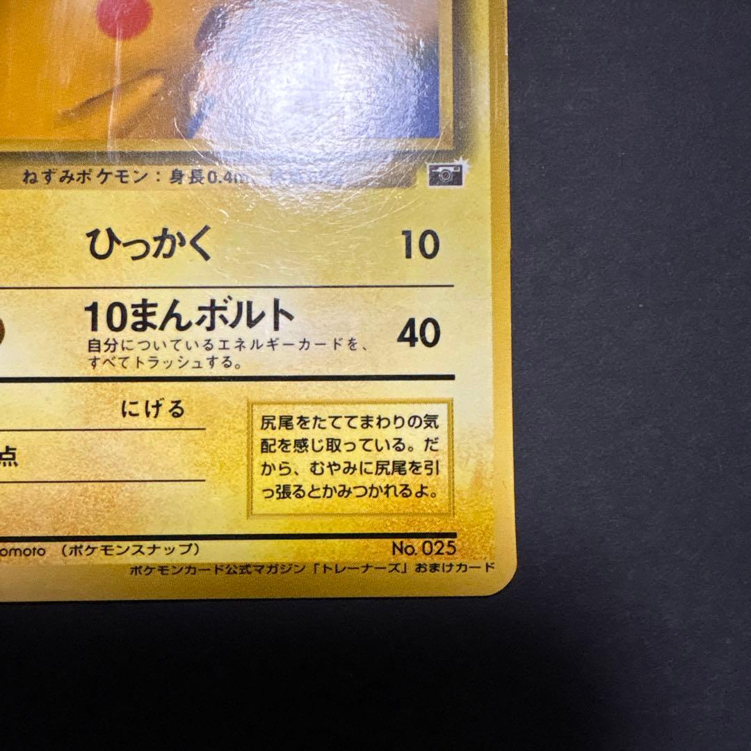 旧裏　ピカチュウ　ポケモンスナップ