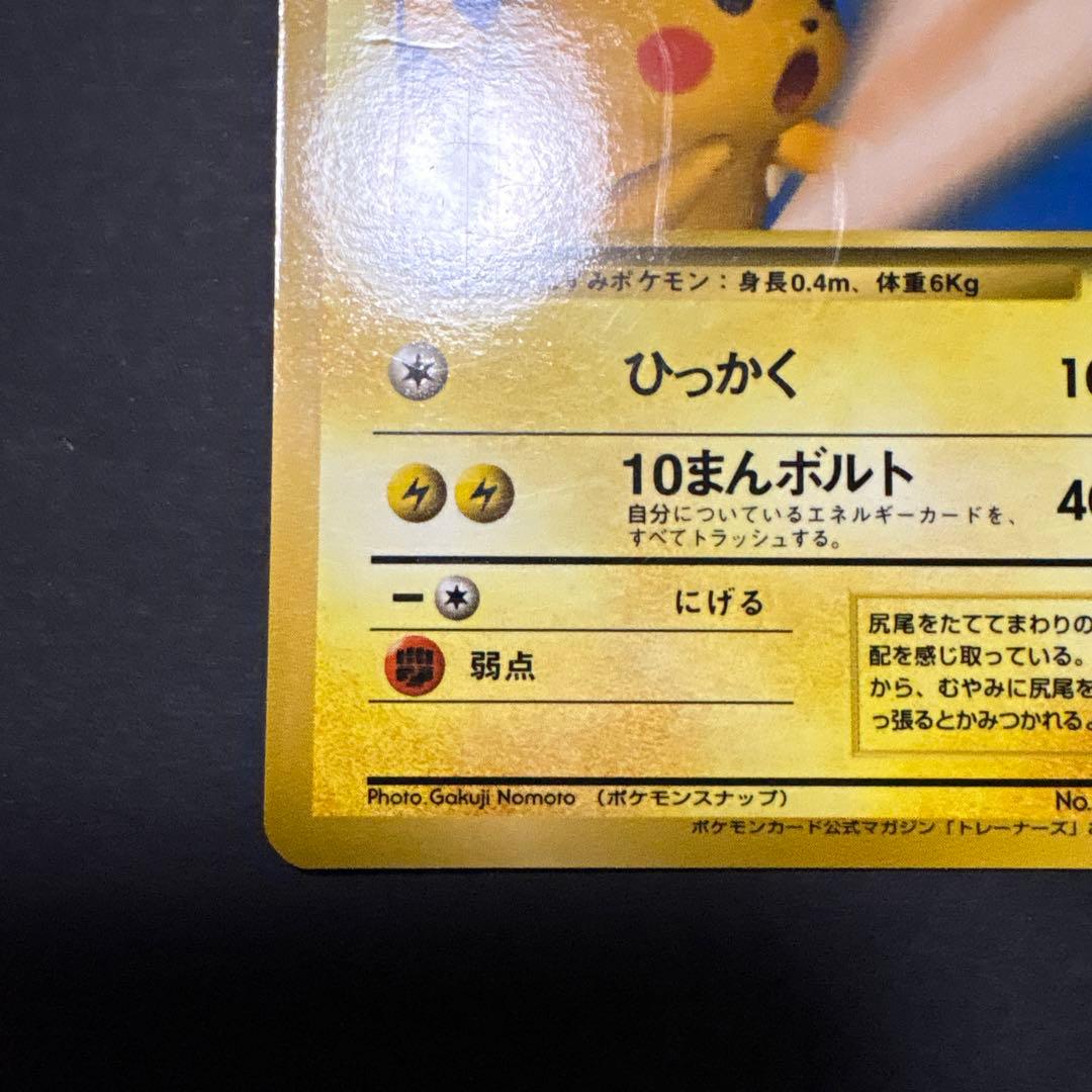 旧裏　ピカチュウ　ポケモンスナップ
