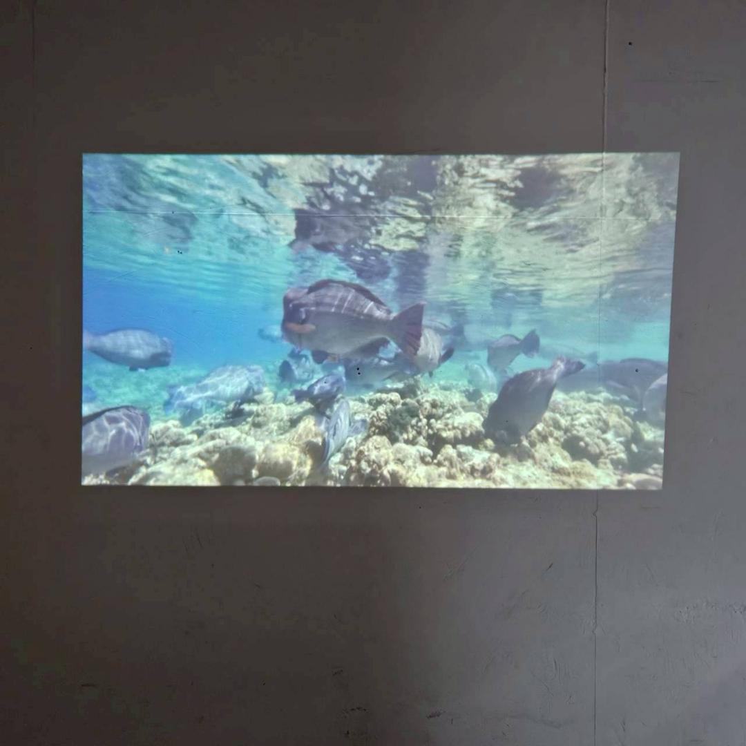 Anker Nebula Astro プロジェクター D2400 リモコン