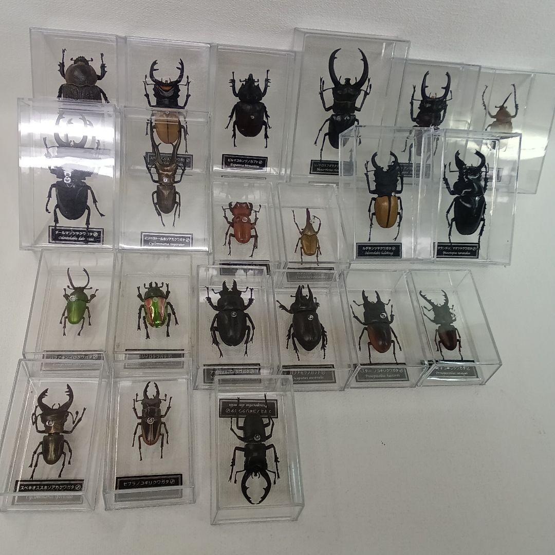 ディアゴスティーニ　世界の昆虫　フィギュア49点まとめ売り