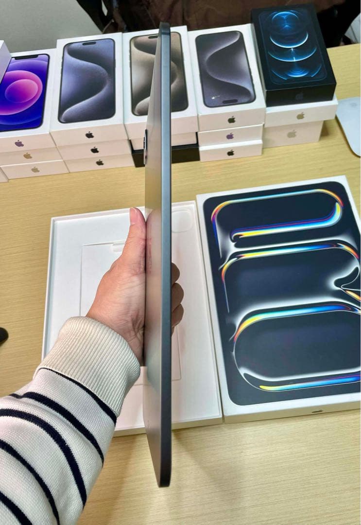 【美品】iPad Pro 11 M4 WiFi+Cellular