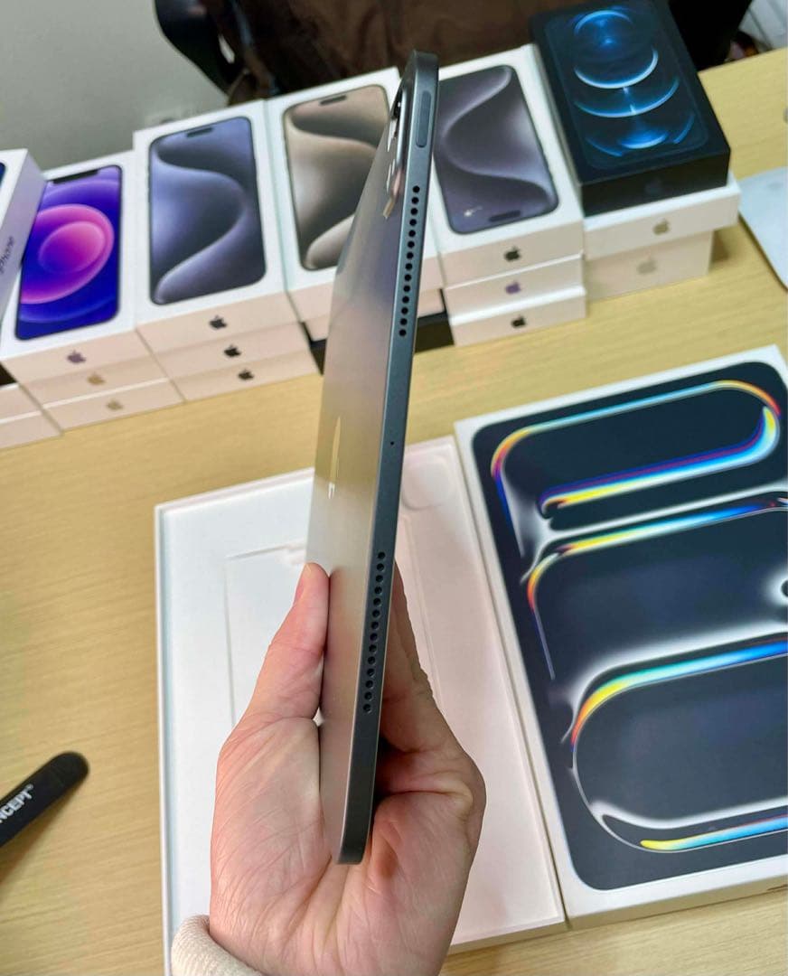 【美品】iPad Pro 11 M4 WiFi+Cellular