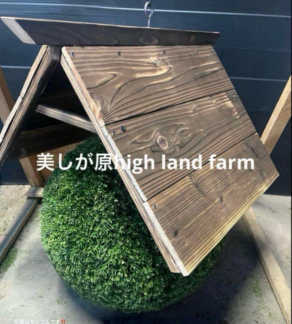 杉玉　約35センチ屋根付き‼️お客様ご注文品♪