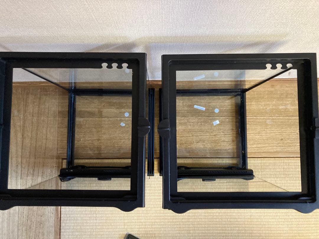 エキゾテラ　グラステラリウムナノ2個セット