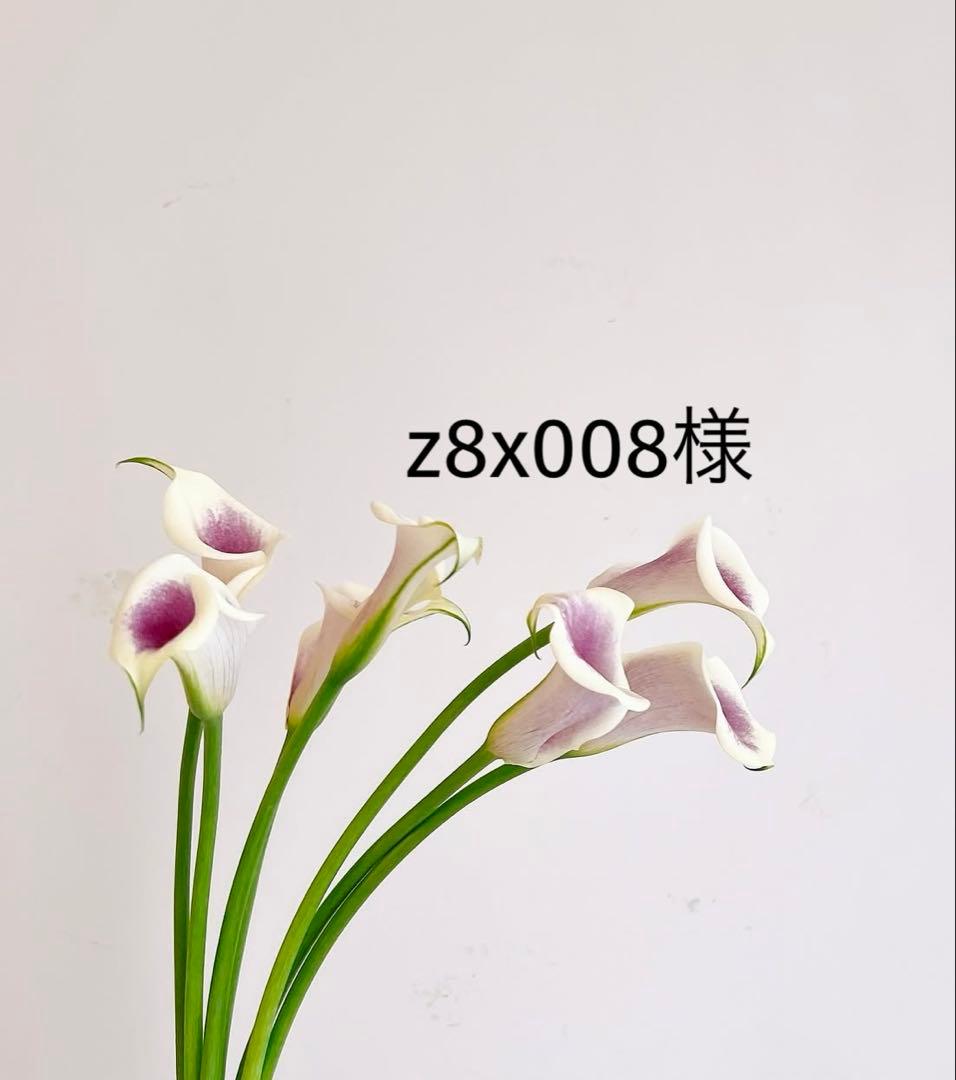 z8x008品
