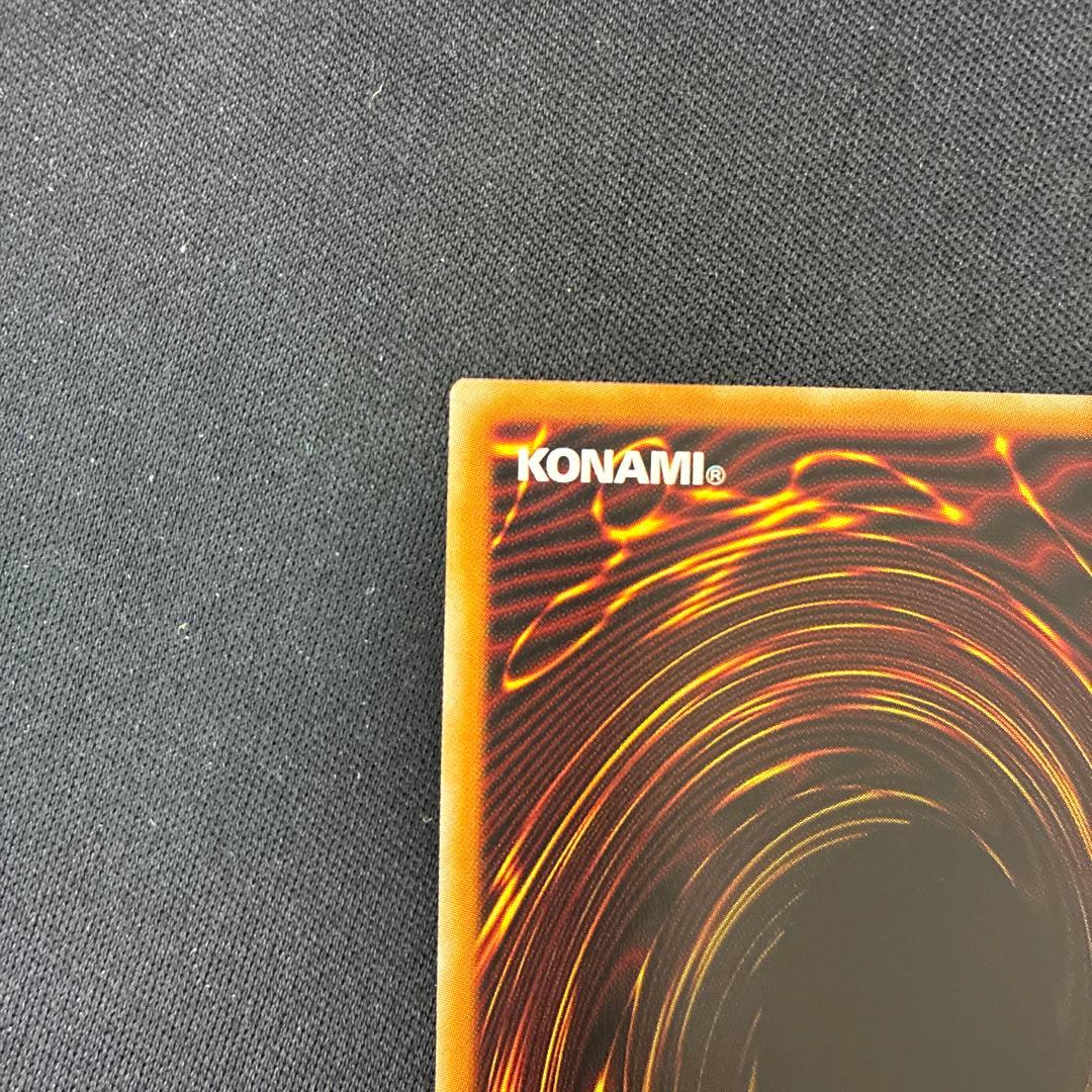 聖域を守護せし光の龍