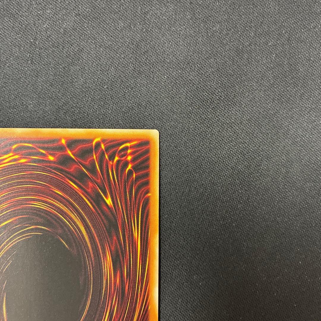 聖域を守護せし光の龍