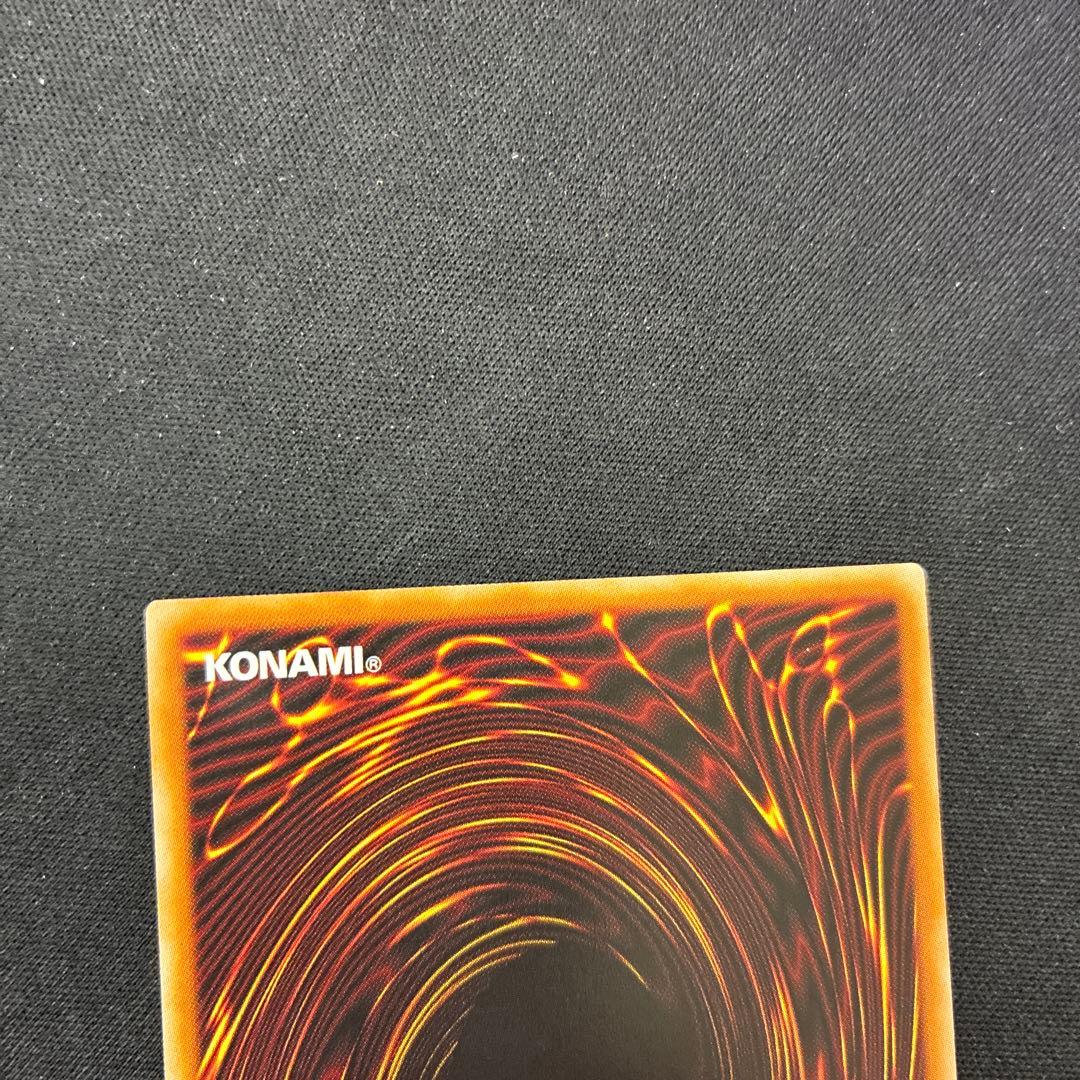 聖域を守護せし光の龍