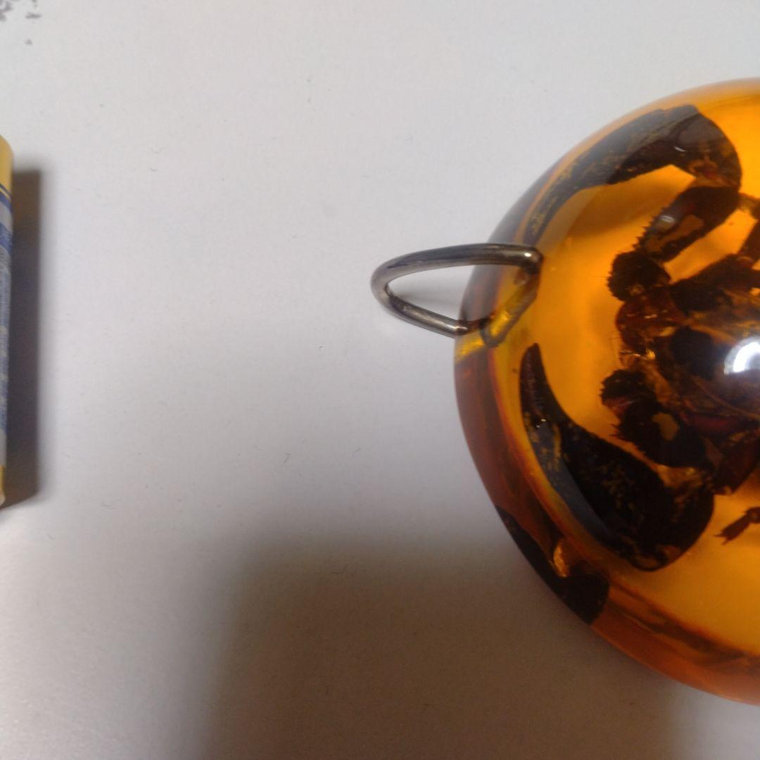 サソリ標本 ペンダントヘッド。