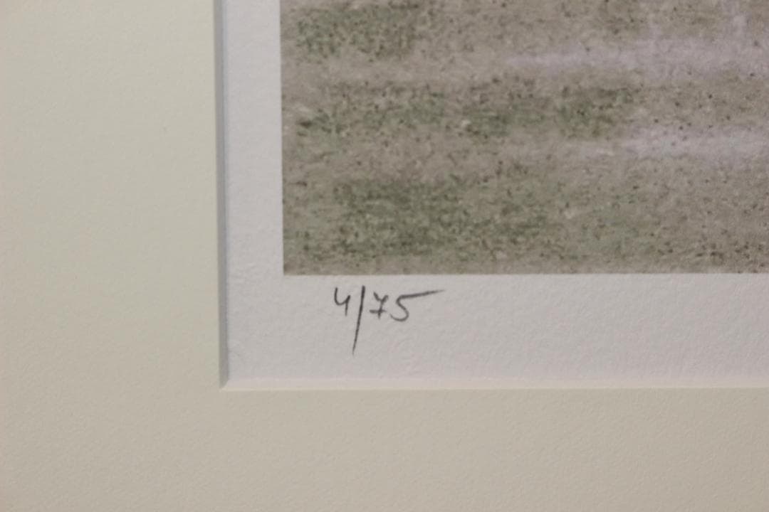 藤田嗣治 エスタンプリトグラフ「茶色い猫」 75部限定