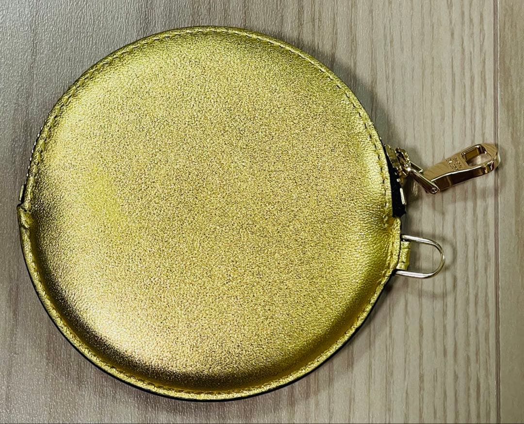 未使用/匿名配送　ロエベ　ケース