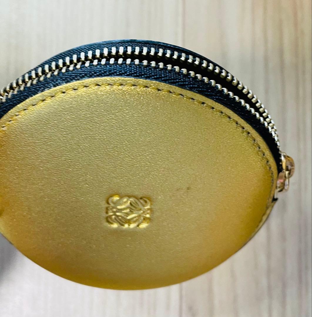 未使用/匿名配送　ロエベ　ケース