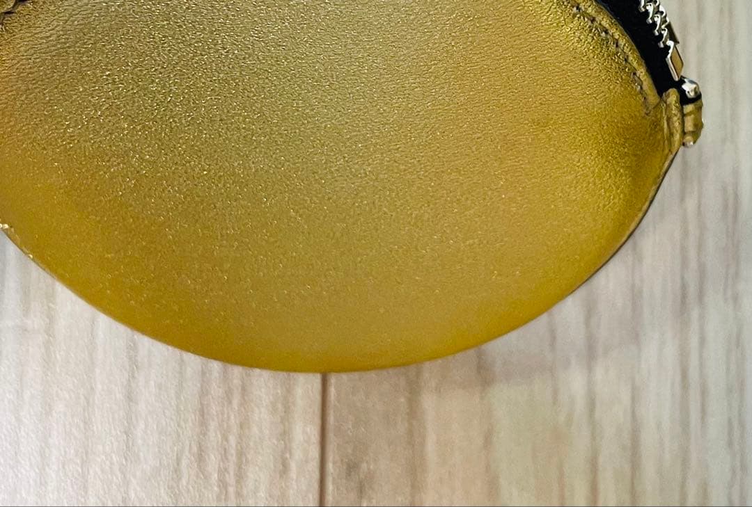 未使用/匿名配送　ロエベ　ケース