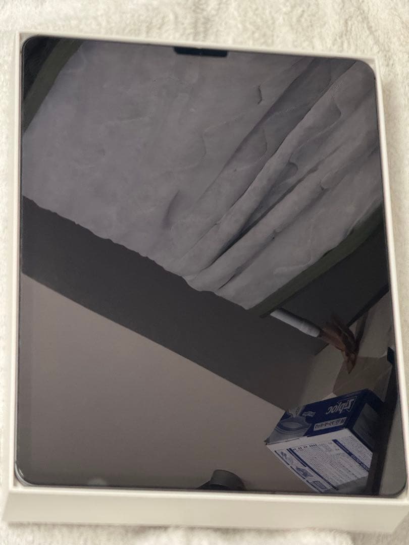 アップル iPad Pro 12.9 インチ 第4世代 256GB ス