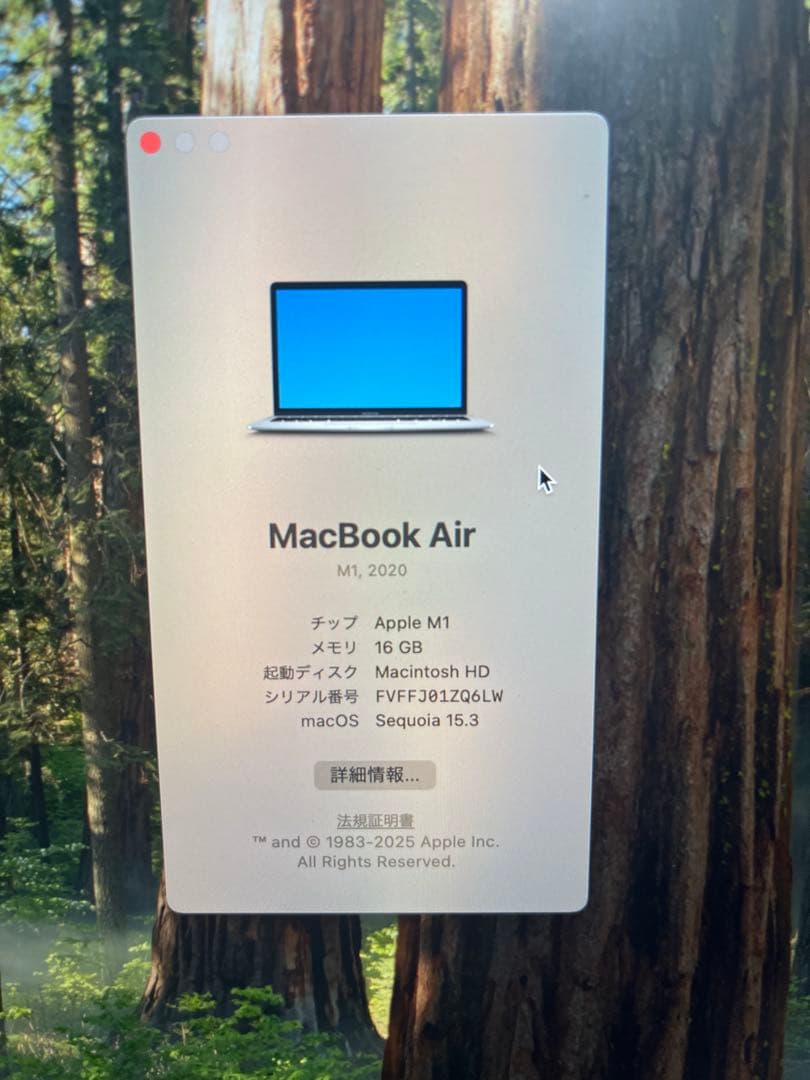 【2020 M1】MacBook Air 13.3インチ 16GB 256GB