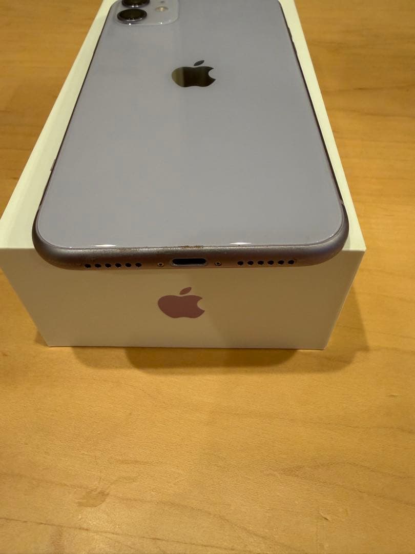 Apple iPhone 11 本体 パープル