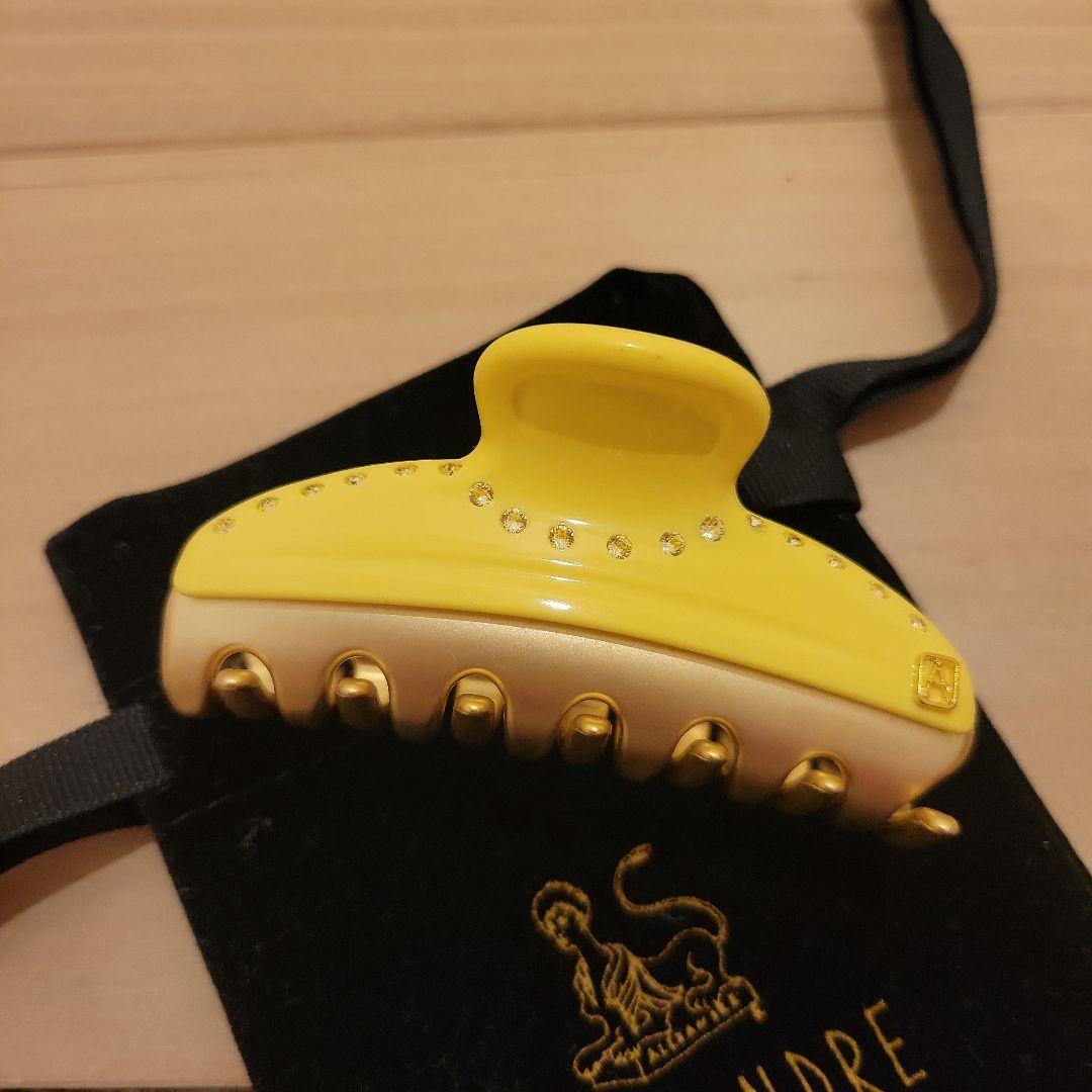 ⭐再値下げ⭐＊新品未使用＊　ALEXANDRE DE PARIS 　ヘアクリップ