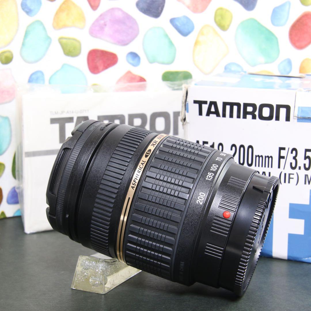 ♥︎◇広角から望遠まで ◇Tamron 18-200mm SONY