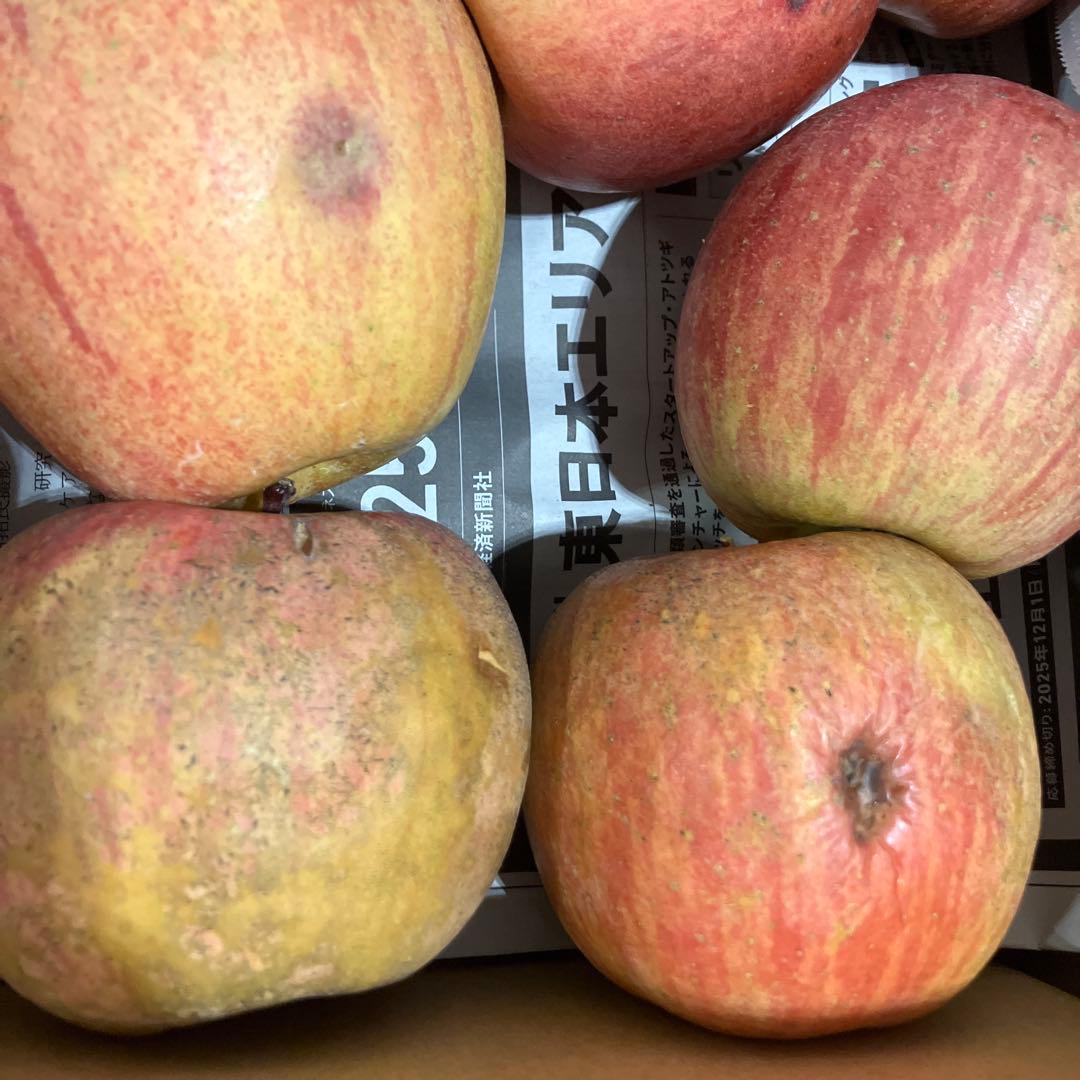 えみちゃん　りんご訳あり7kg