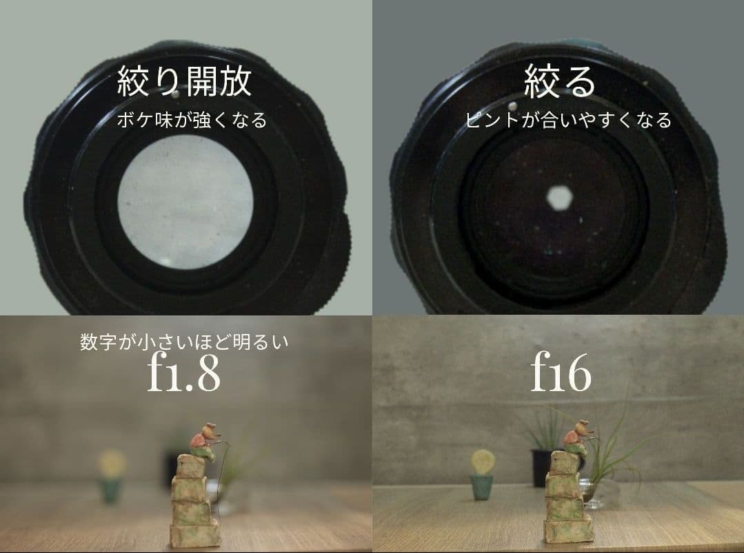 【フレアレンズ】Yashica Yashinon-DX 50mm f1.7