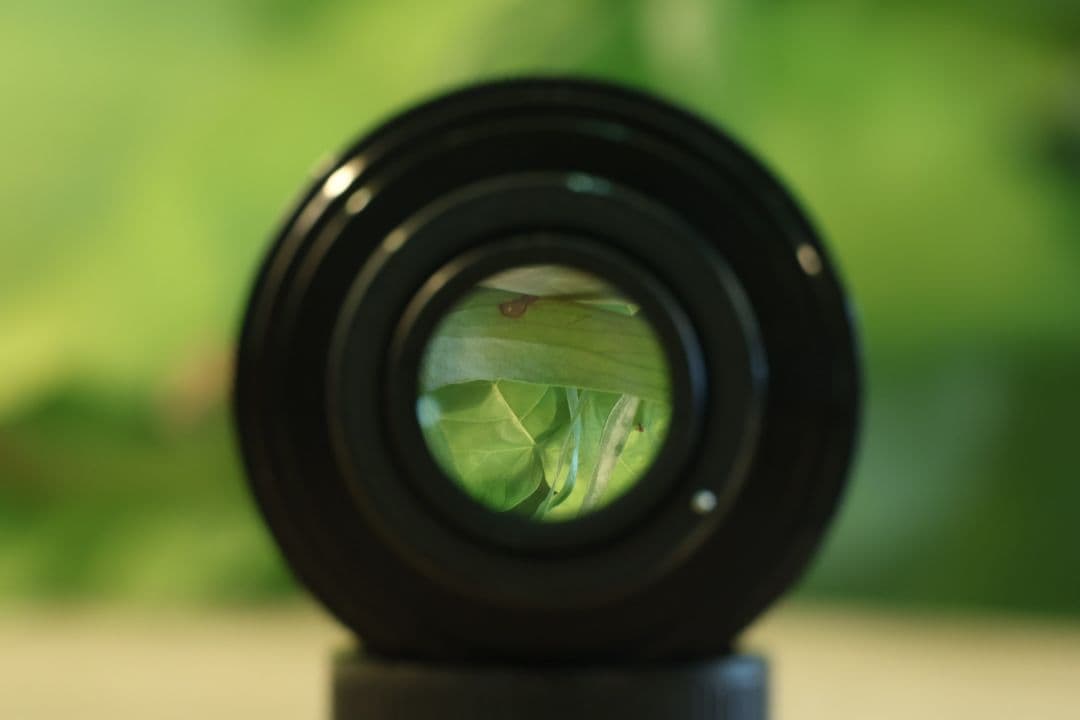 【フレアレンズ】Yashica Yashinon-DX 50mm f1.7