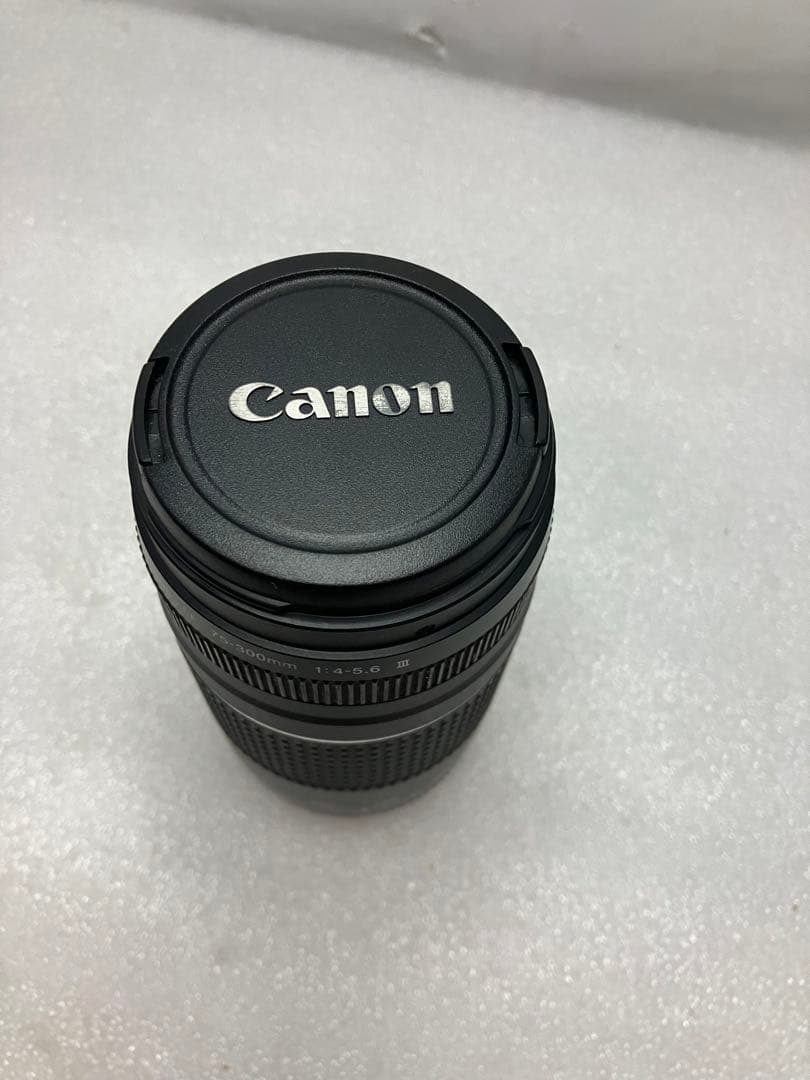 CANON純正定番望遠レンズ EF75-300mm f/4-5:6III型