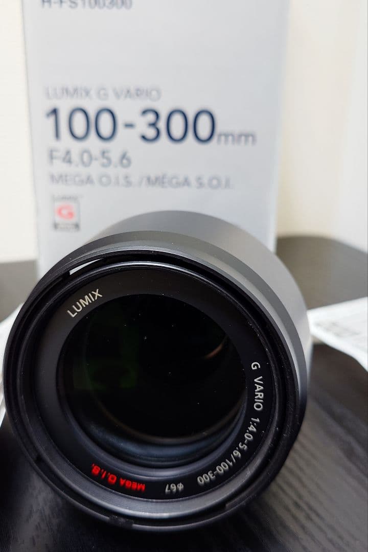 レンズ(ズーム) Panasonic LUMIX G VARIO 100-300mm