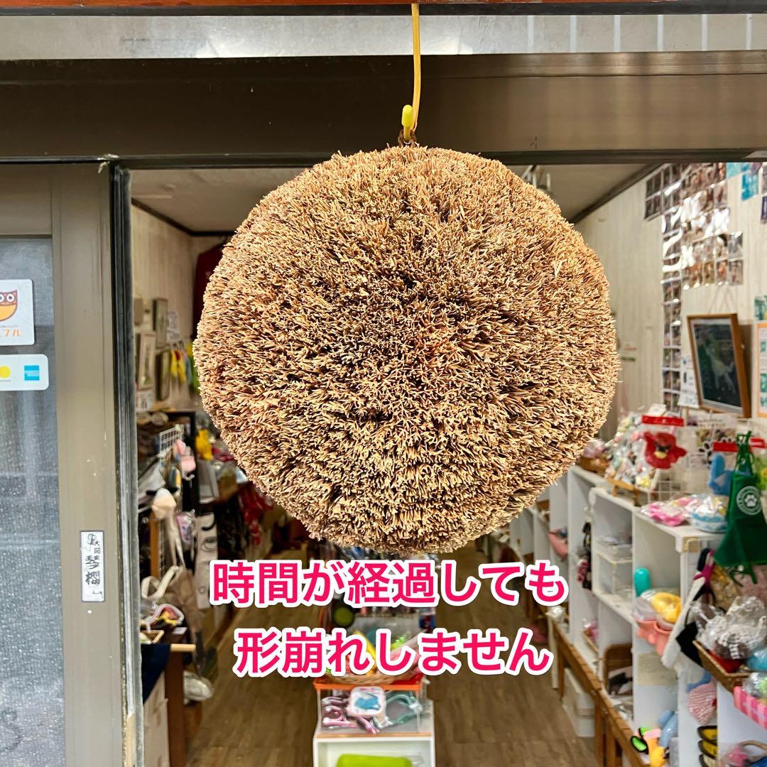 杉玉【屋根付き】②