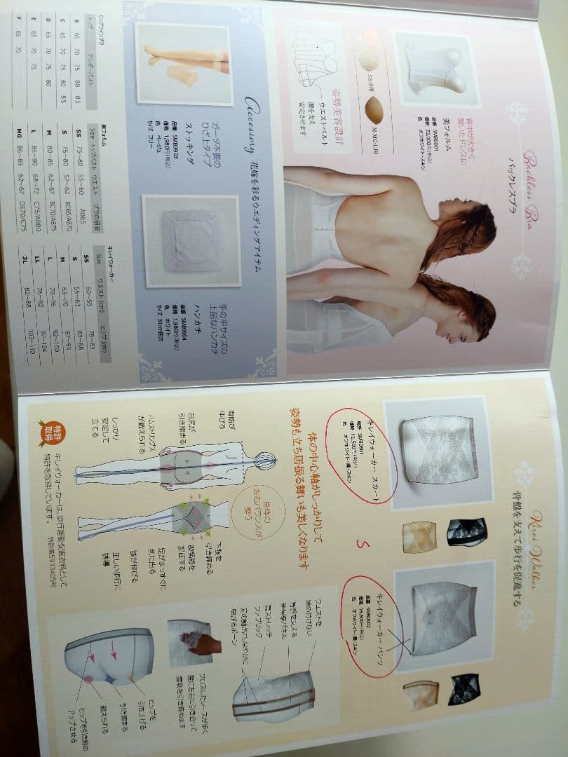 ❀ぐん❀ The D ロングラインブラシンプル　キレイウォーカー