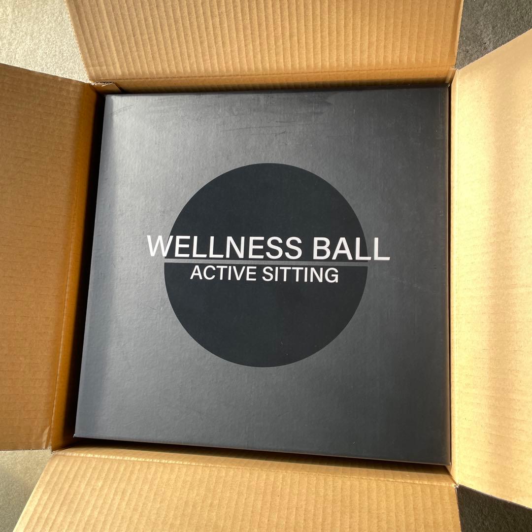 TECHNOGYM バランスボール 黒　55cm