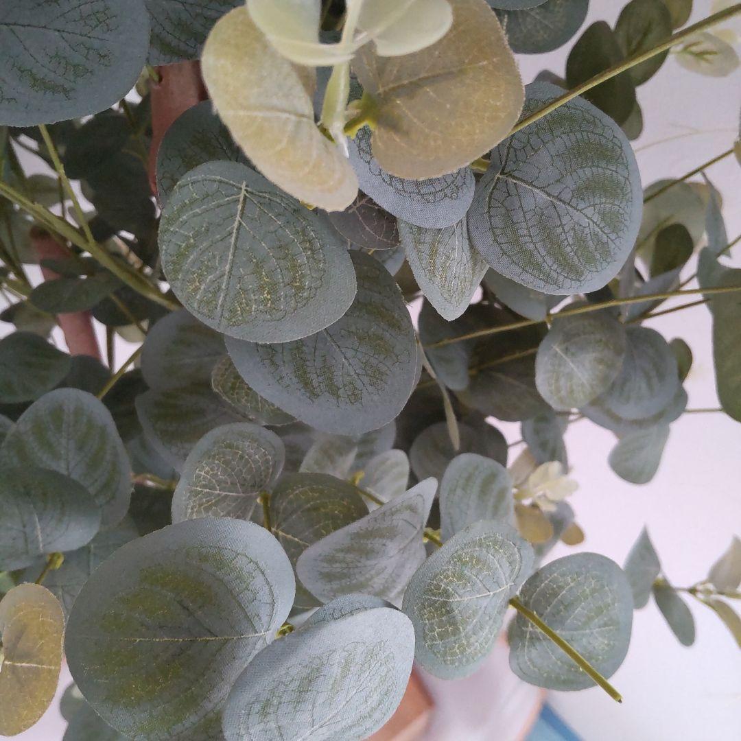 ユーカリの木130cm タイプ！銀丸葉 ！ 大型フェイクプランツ！ 未使用！