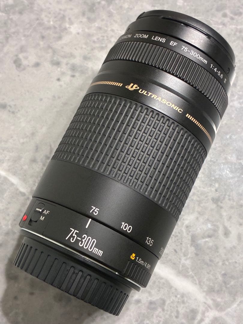 ⭐️外観美品⭐️Canon EF 75-300mm F/4-5.6 II USM